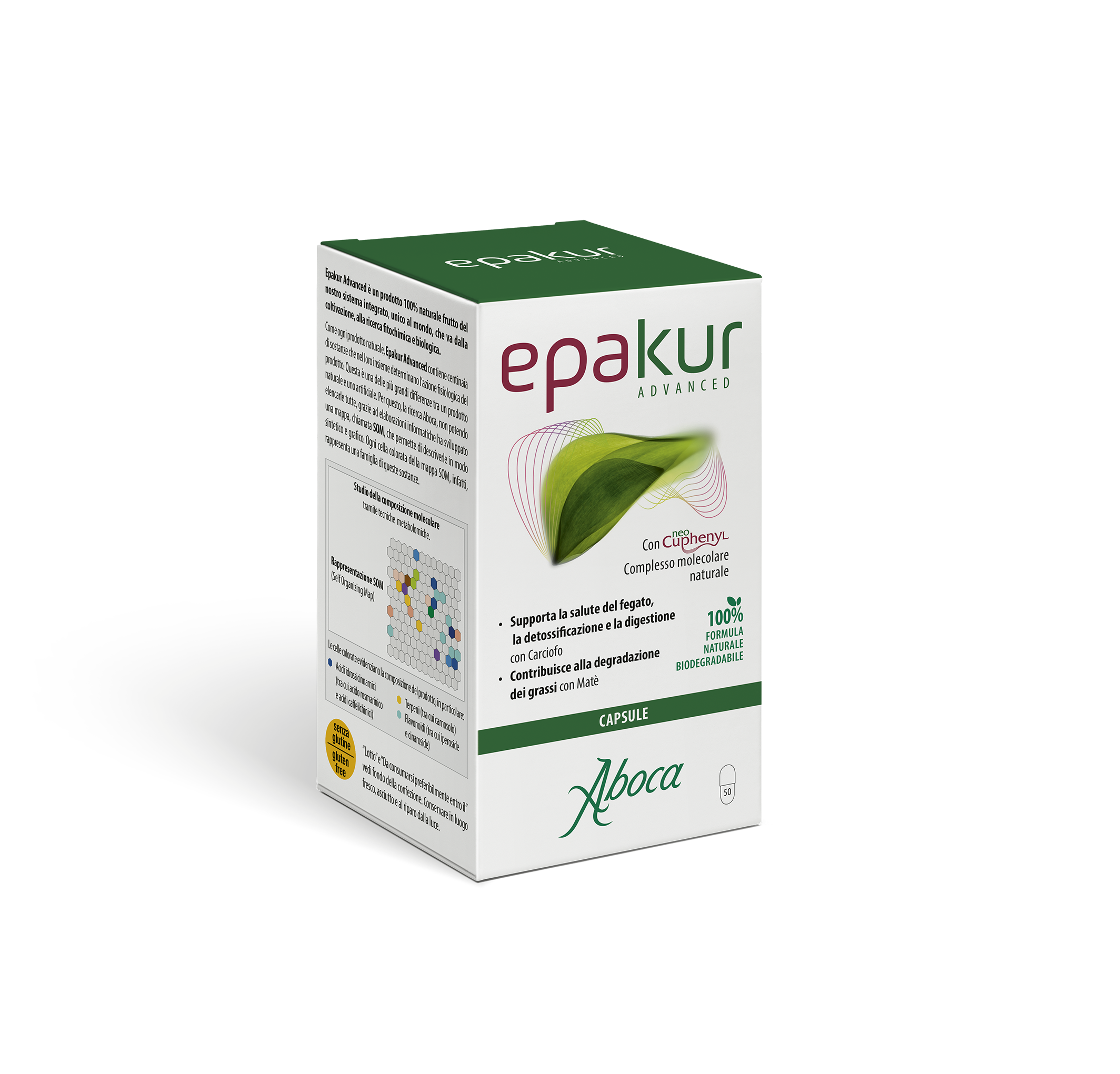 lynfase_blurry_default_light